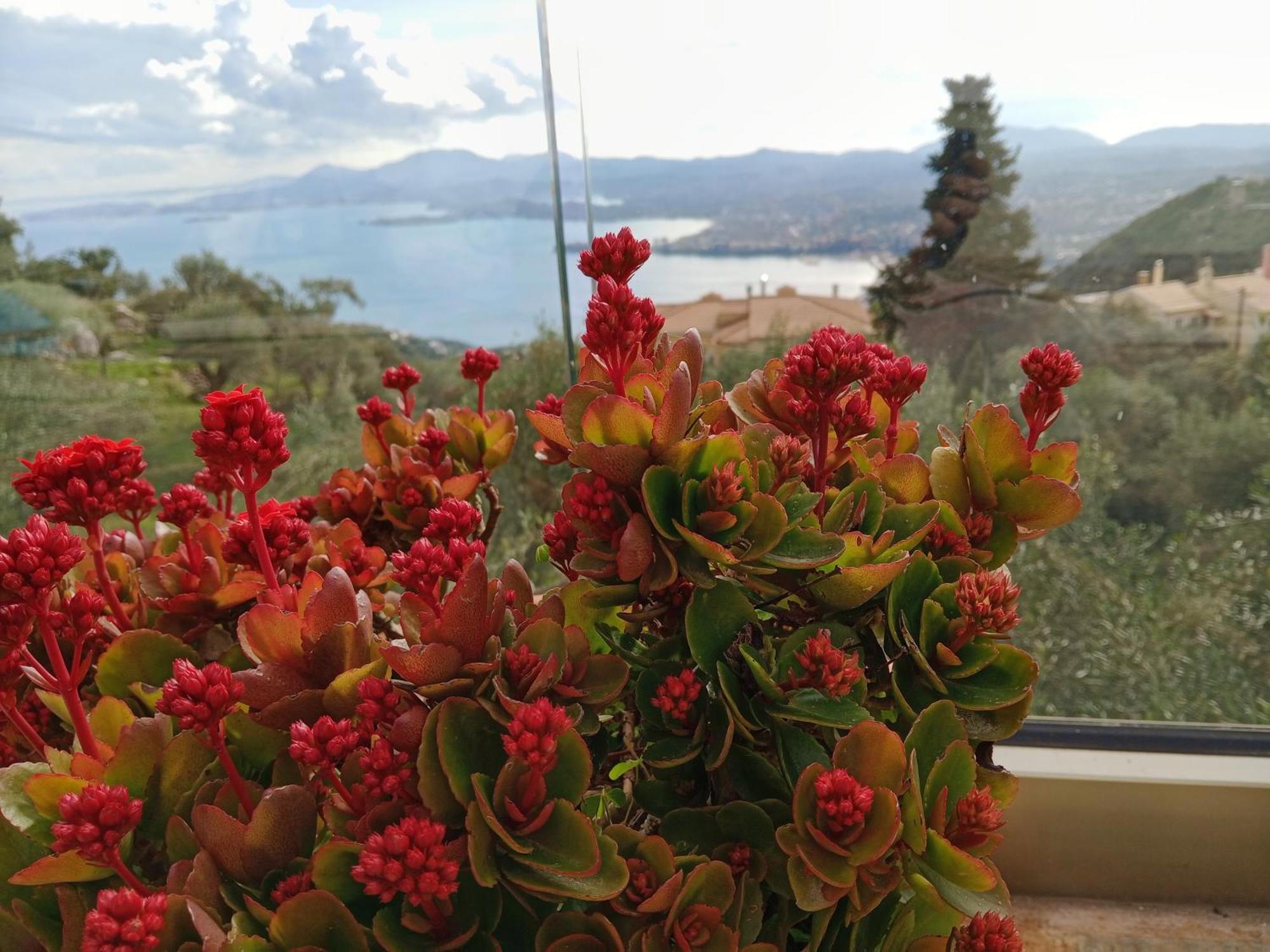 Rizaria Sea View House Villa Spartylas Exteriör bild